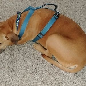 Meet your Posher, Cynthia